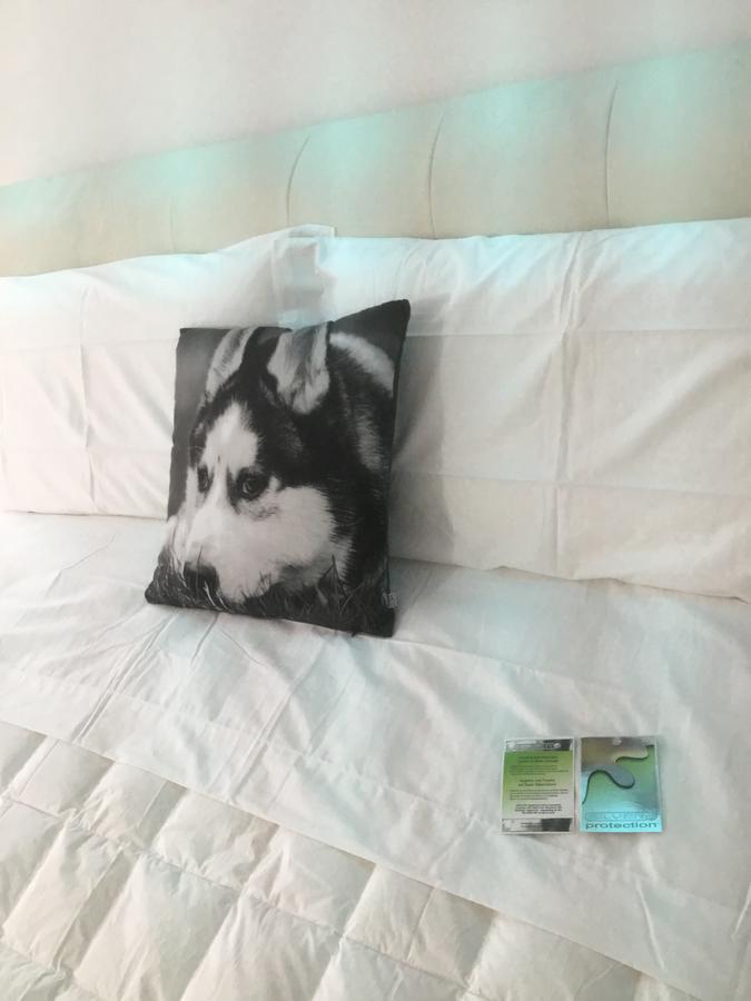 White Dream Suites Jászvásár Kültér fotó